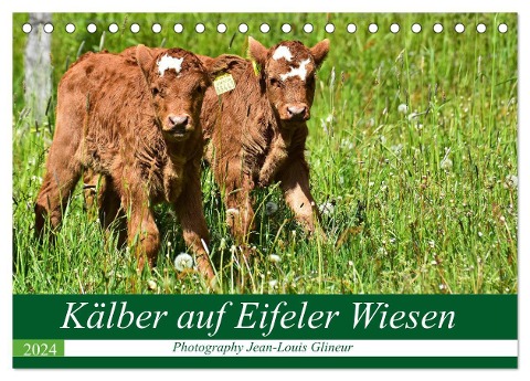 Kälber auf Eifeler Wiesen (Tischkalender 2024 DIN A5 quer), CALVENDO Monatskalender - Jean-Louis Glineur