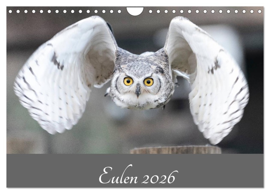 Eulen 2026 (Wandkalender 2026 DIN A4 quer), CALVENDO Monatskalender - Jürgen Trimbach