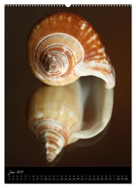 InsideView 11