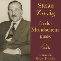 Cover-Bild zum Titel 'Stefan Zweig: In der Mondscheingasse' von 'Stefan Zweig'