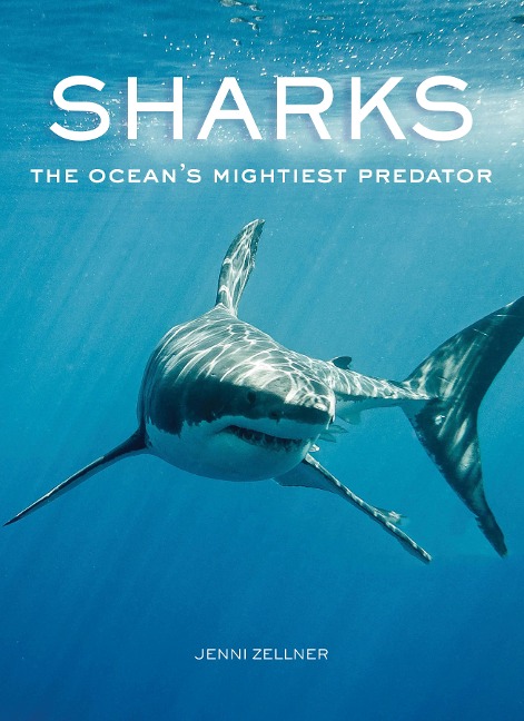 Sharks - Jenni Zellner