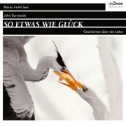 Cover-Bild zum Titel 'So etwas wie Glück' von 'John Burnside'