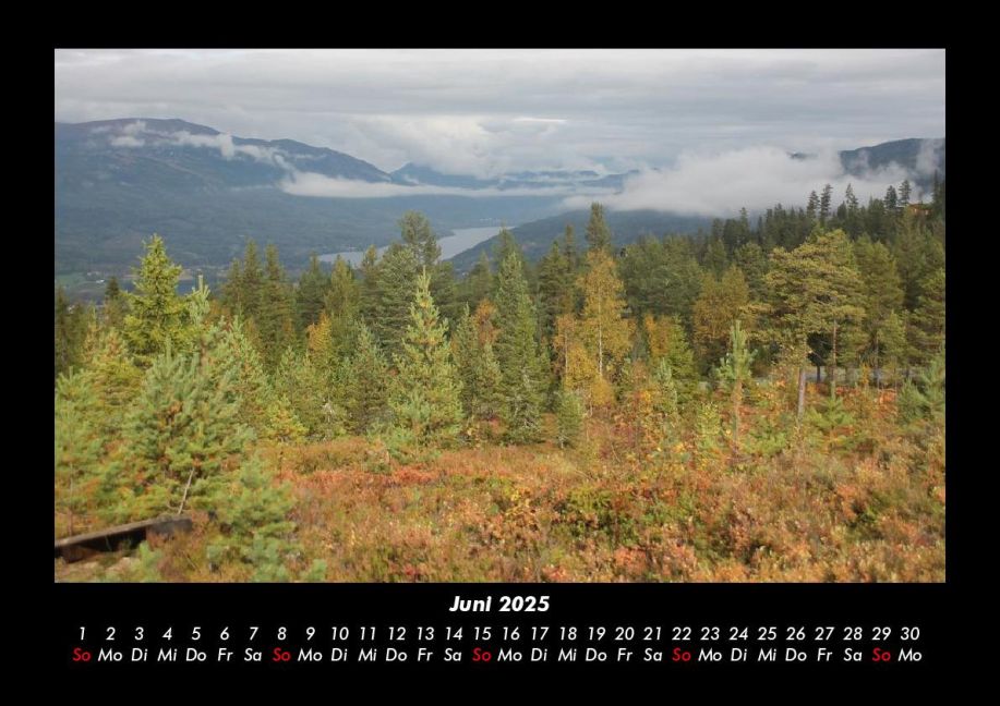 InsideView 10