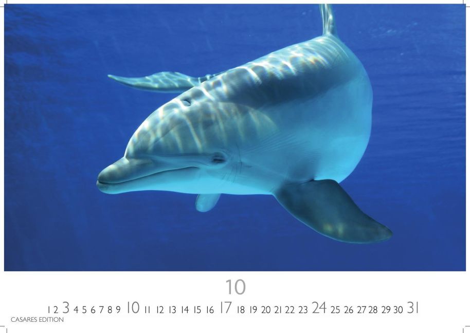 InsideView 10