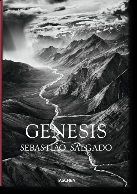 GENESIS - Lelia Wanick Salgado