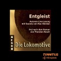 Cover-Bild zum Titel 'Entgleist' von 'Thorsten Nesch, Max Würden'