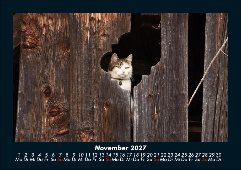 InsideView 3