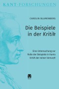 Cover-Bild zum Titel 'Die Beispiele in der Kritik' von 'Carolin Blumenberg'
