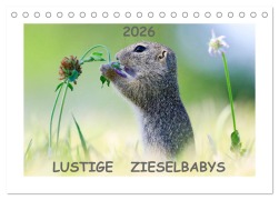 Cover-Bild zum Titel 'Lustige Zieselbabys (Tischkalender 2026 DIN A5 quer), CALVENDO Monatskalender' von 'Werner Lang'