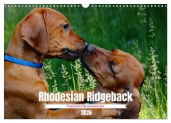 Rhodesian Ridgeback, Charmante Herzensbrecher (Wandkalender 2026 DIN A3 quer), CALVENDO Monatskalender - Dagmar Behrens