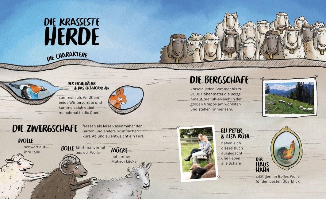 InsideView 6