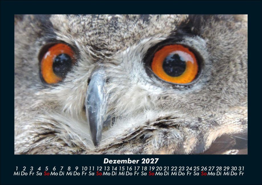 InsideView 4