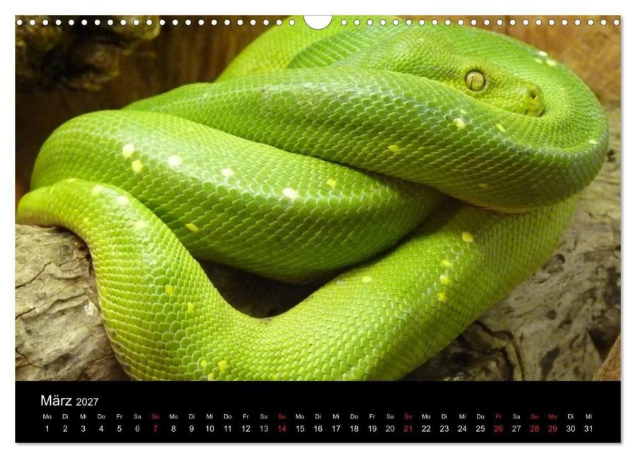 InsideView 8