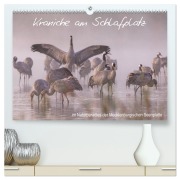 Cover-Bild zum Titel 'Kraniche am Schlafplatz - im Naturparadies der Mecklenburgischen Seenplatte (hochwertiger Premium Wandkalender 2026 DIN A2 quer), Kunstdruck in Hochglanz' von 'André Pretzel - FotoPretzel'