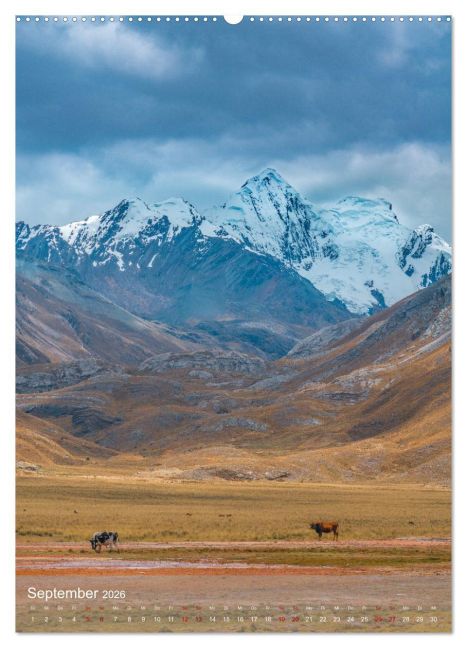 InsideView 14