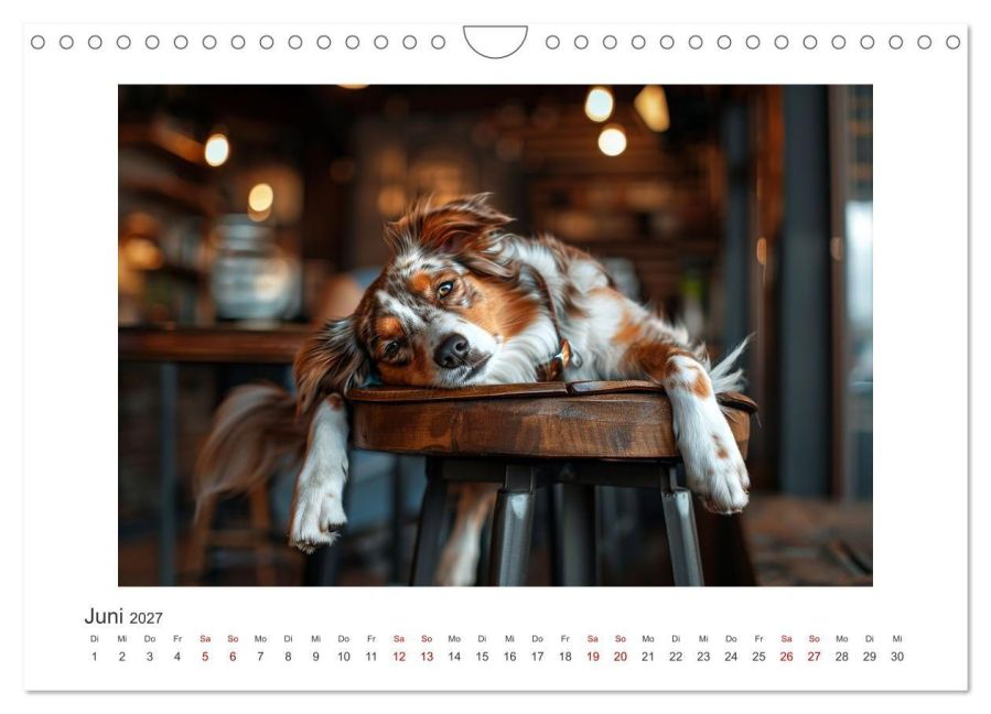 InsideView 11