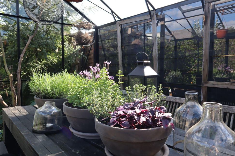 InsideView 4