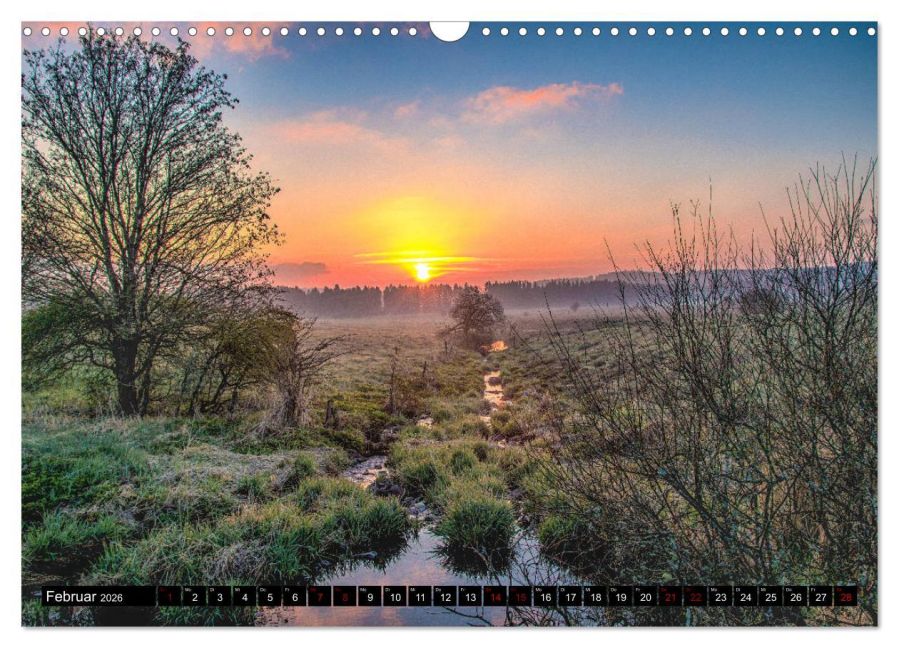 InsideView 7