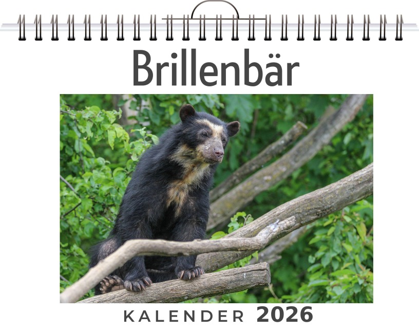 Brillenbär - Emma Fuchs