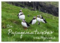 Cover-Bild zum Titel 'Die Papageientaucher von Mykines (Wandkalender 2026 DIN A2 quer), CALVENDO Monatskalender' von 'Sören Gelbe-Haußen'