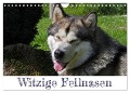 Witzige Fellnasen (Wandkalender 2024 DIN A4 quer), CALVENDO Monatskalender - Silvia Drafz