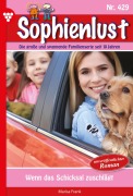 Cover-Bild zum Titel 'Wenn das Schicksal zuschlägt' von 'Marisa Frank'