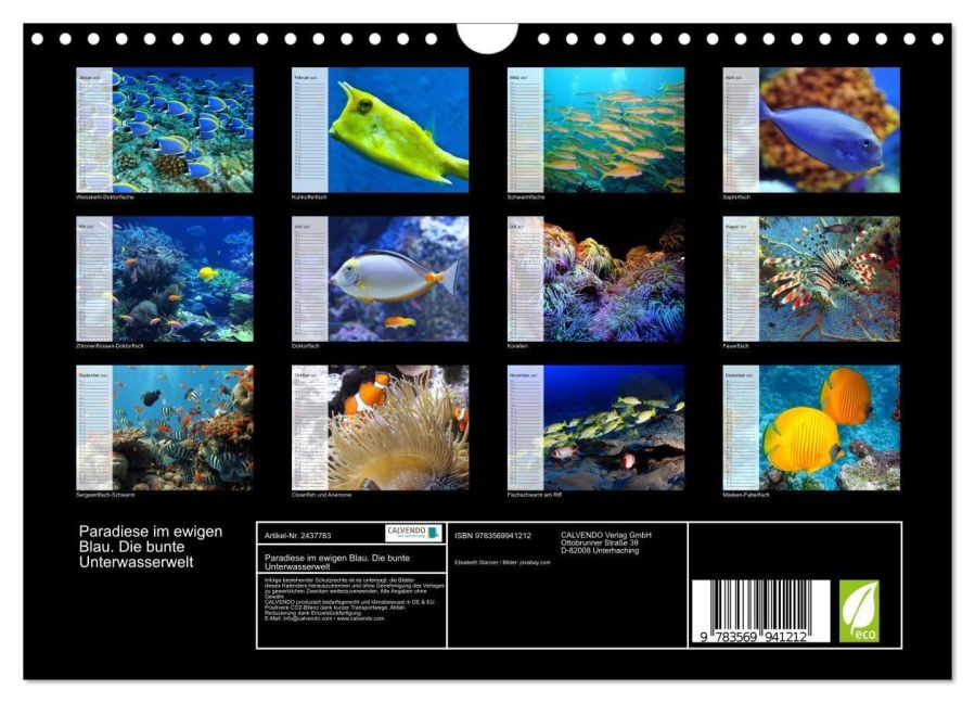 InsideView 5