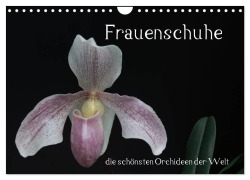 Cover-Bild zum Titel 'Frauenschuhe - die schönsten Orchideen der Welt (Wandkalender 2026 DIN A4 quer), CALVENDO Monatskalender' von 'Holger Rochow'