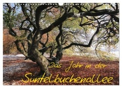 Cover-Bild zum Titel 'Das Jahr in der Süntelbuchenallee (Wandkalender 2026 DIN A3 quer), CALVENDO Monatskalender' von 'Bernhard Loewa'