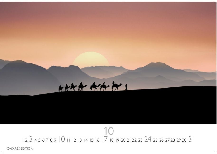 InsideView 10