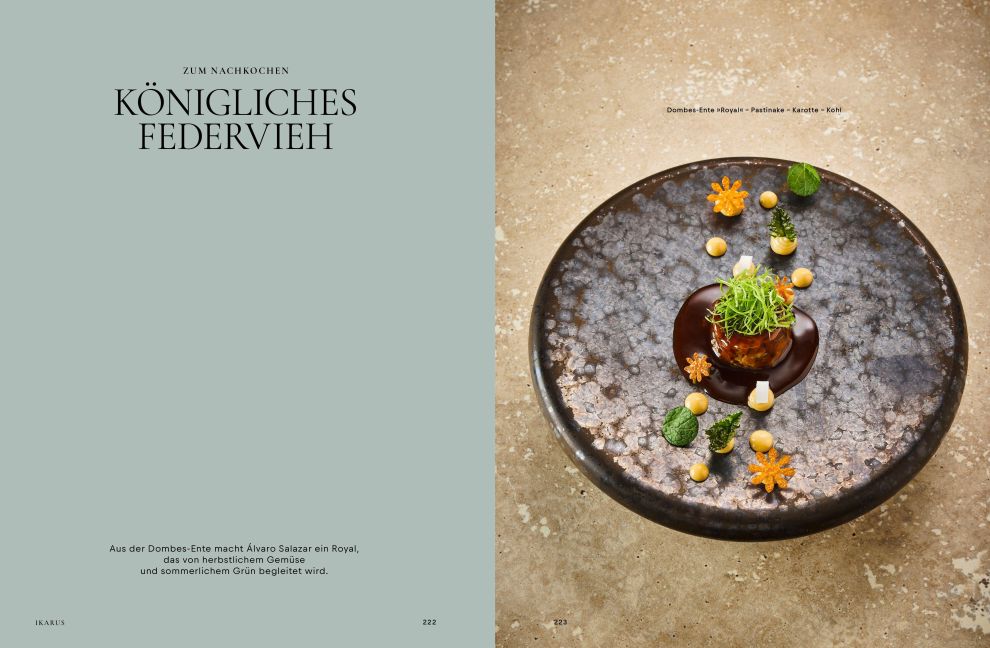 InsideView 8