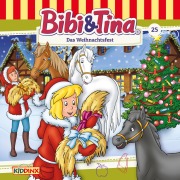 Cover-Bild zum Titel 'Das Weihnachtsfest' von 'Ulf Tiehm'