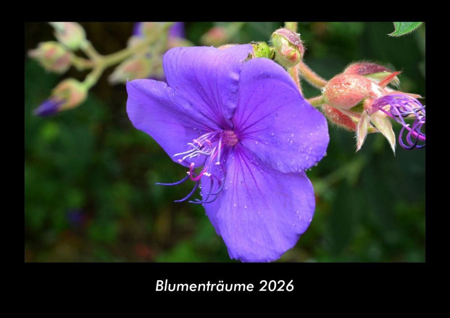 Blumenträume 2026 Fotokalender DIN A3 - Tobias Becker