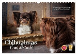 Cover-Bild zum Titel 'Chihuahuas - Cool and Cute (Wandkalender 2026 DIN A3 quer), CALVENDO Monatskalender' von 'Oliver Pinkoss Photostorys'
