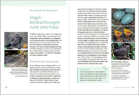InsideView 1