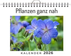 Cover-Bild zum Titel 'Pflanzen ganz nah' von 'Julian König'