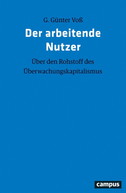 Der arbeitende Nutzer - G. Günter Voß