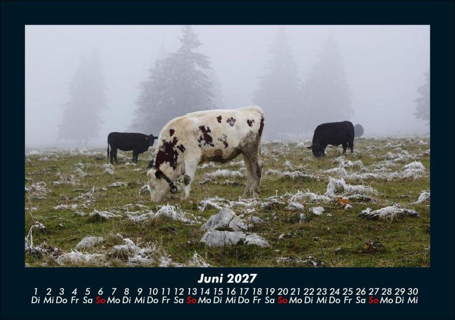 InsideView 10