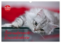 Cover-Bild zum Titel 'Bezaubernde Rassekatzen (Wandkalender 2026 DIN A3 quer), CALVENDO Monatskalender' von 'Melanie Viola'