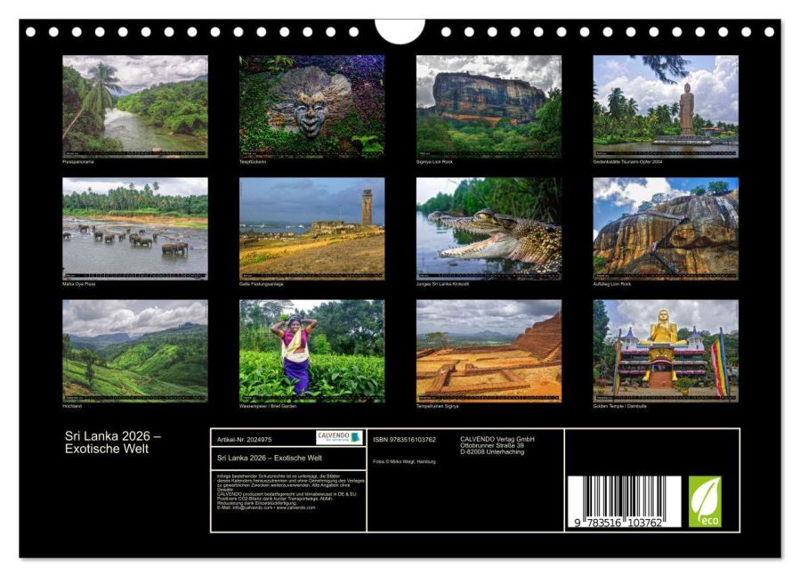 InsideView 5