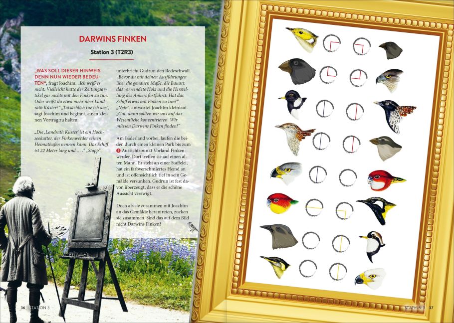 InsideView 5