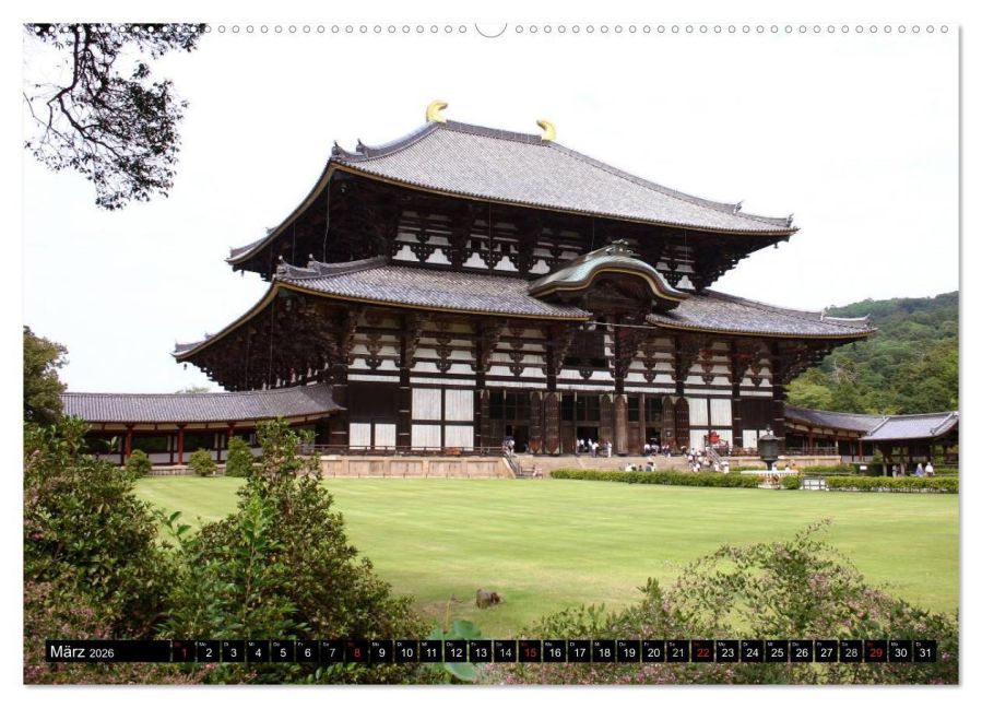 InsideView 8