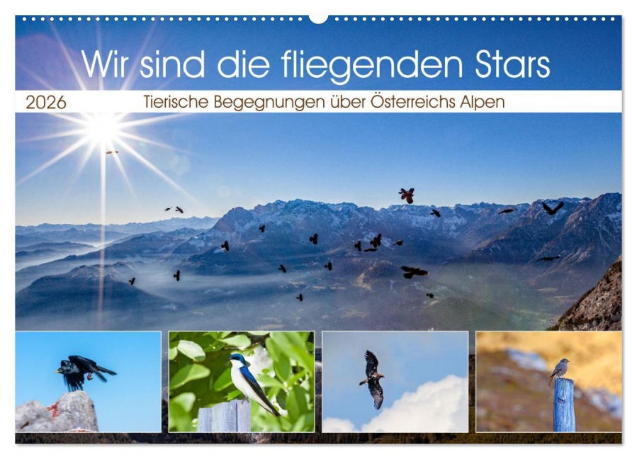 Wir sind die fliegenden Stars (Wandkalender 2026 DIN A2 quer), CALVENDO Monatskalender - Christa Kramer