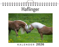 Cover-Bild zum Titel 'Haflinger' von 'Luca Peters'