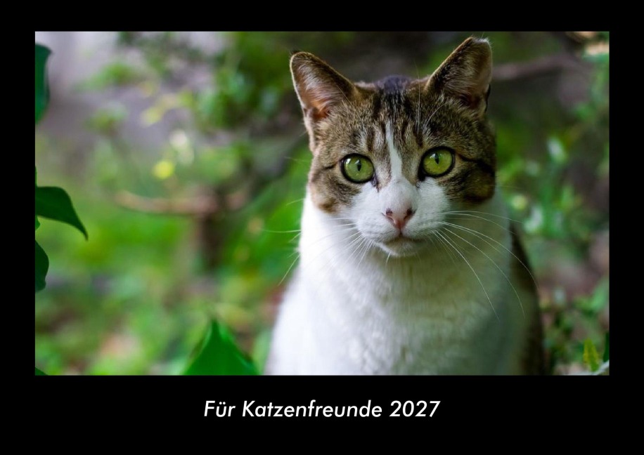 Für Katzenfreunde 2027 Fotokalender DIN A3 - Tobias Becker