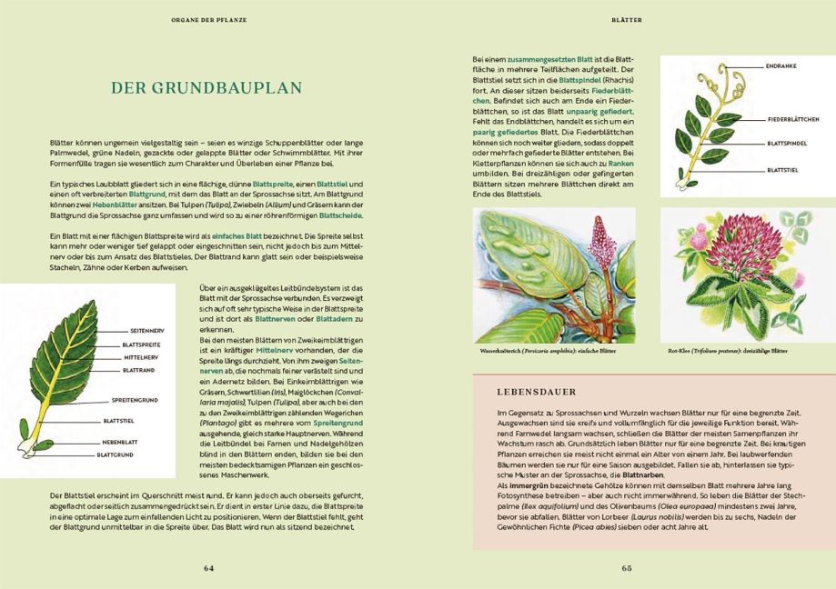 InsideView 3