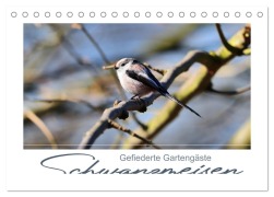 Cover-Bild zum Titel 'Gefiederte Gartengäste, Schwanzmeisen (Tischkalender 2026 DIN A5 quer), CALVENDO Monatskalender' von ''