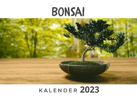 Bonsai - Stefan Gruber