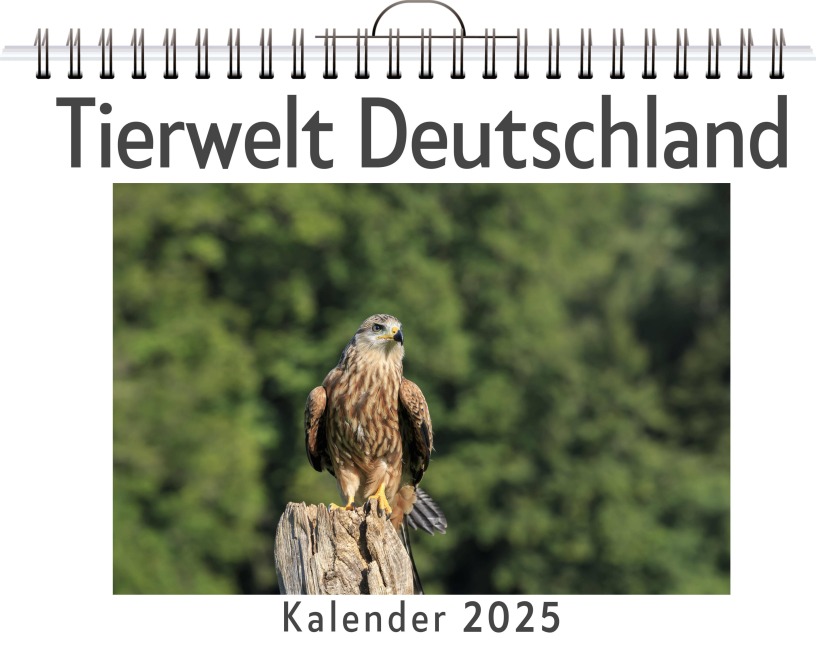 Tierwelt Deutschland - Lina Frank