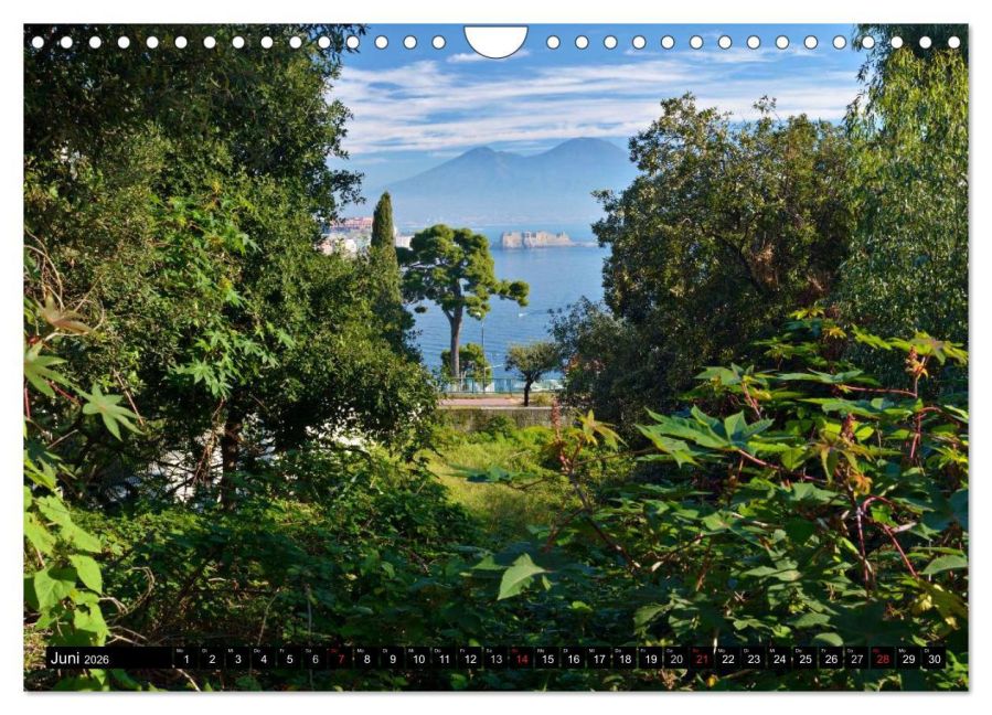 InsideView 11
